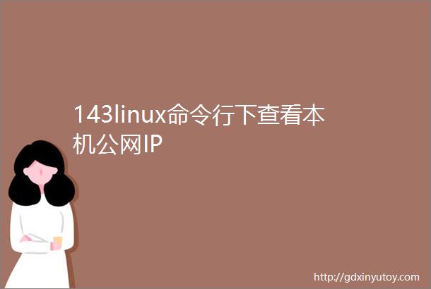 143linux命令行下查看本机公网IP