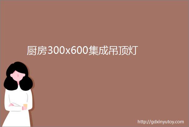 厨房300x600集成吊顶灯