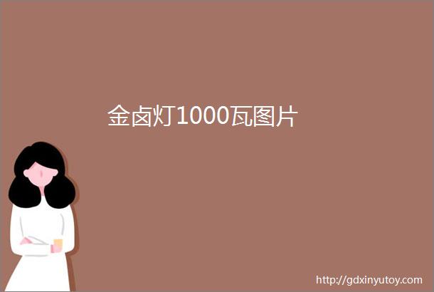 金卤灯1000瓦图片