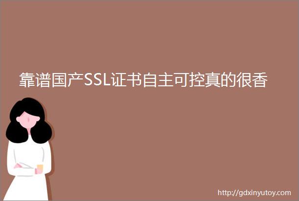 靠谱国产SSL证书自主可控真的很香