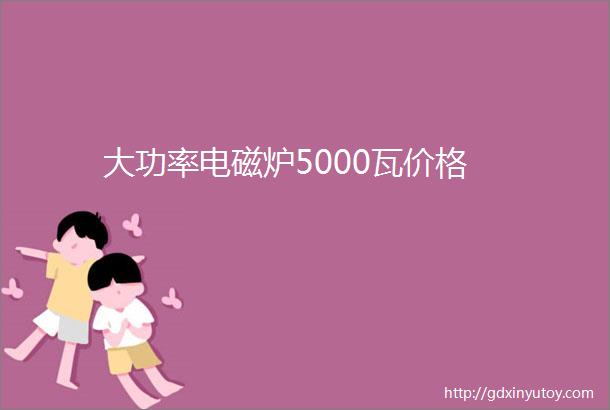 大功率电磁炉5000瓦价格