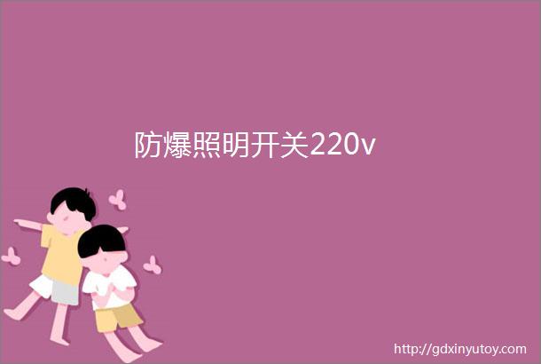 防爆照明开关220v