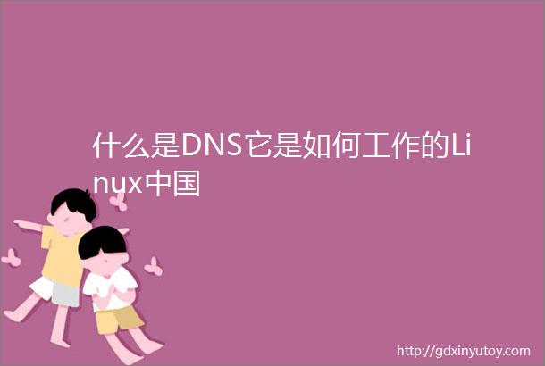 什么是DNS它是如何工作的Linux中国