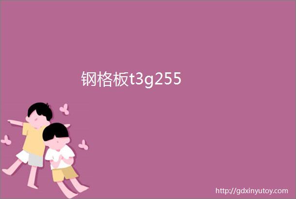 钢格板t3g255