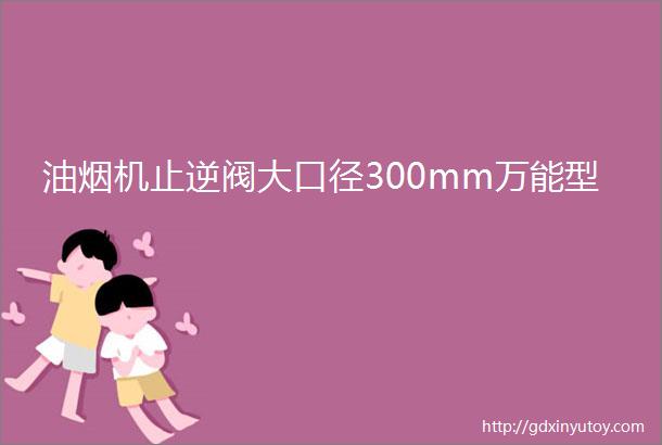 油烟机止逆阀大口径300mm万能型