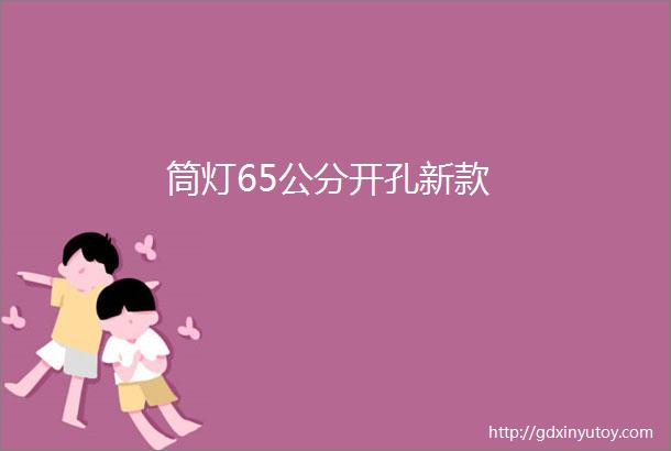 筒灯65公分开孔新款