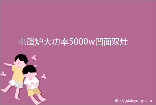 电磁炉大功率5000w凹面双灶