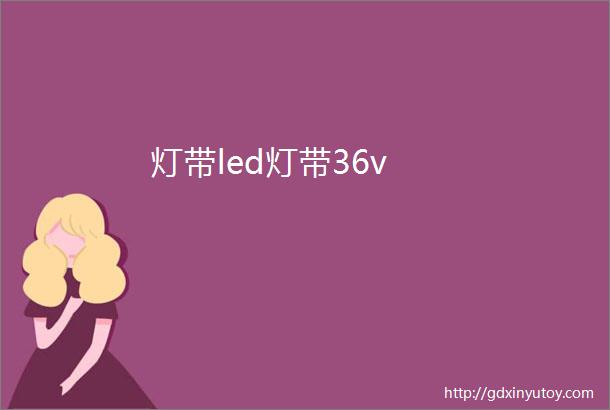 灯带led灯带36v