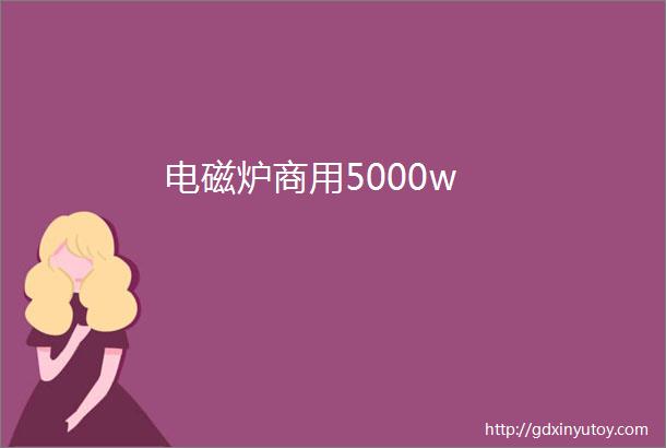 电磁炉商用5000w