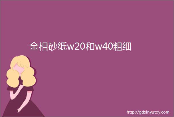 金相砂纸w20和w40粗细