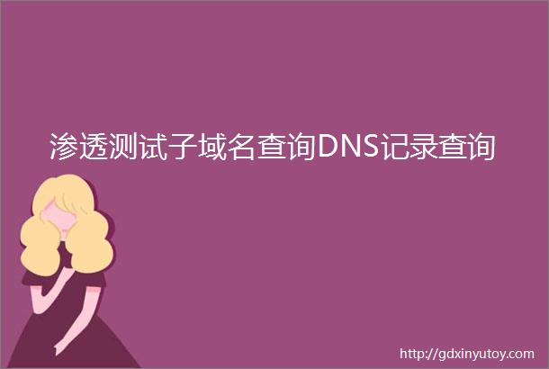 渗透测试子域名查询DNS记录查询