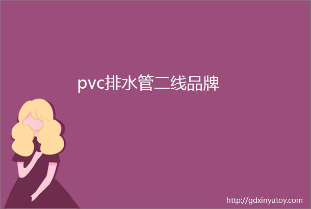 pvc排水管二线品牌