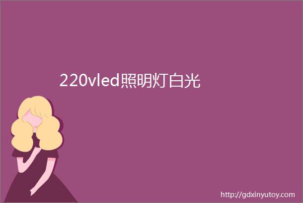 220vled照明灯白光