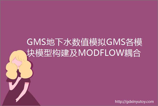 GMS地下水数值模拟GMS各模块模型构建及MODFLOW耦合水流动数值模拟及报告编制溶质运移模型等地表水耦合技术