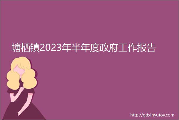 塘栖镇2023年半年度政府工作报告