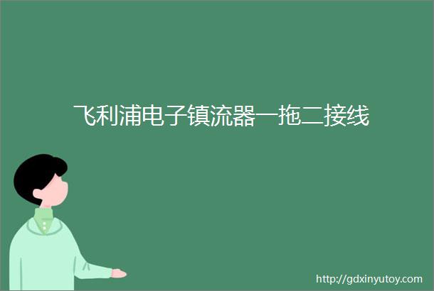 飞利浦电子镇流器一拖二接线