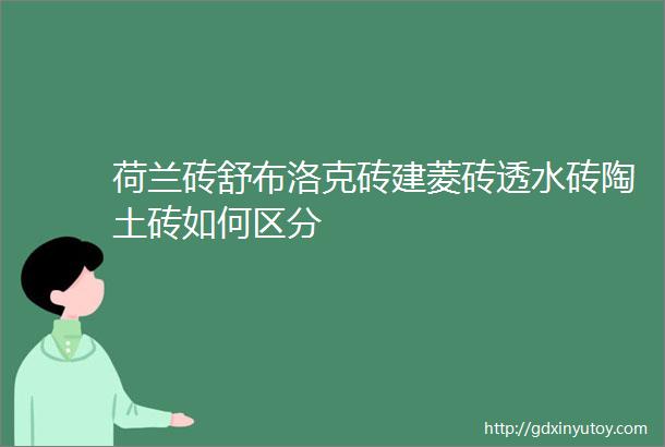 荷兰砖舒布洛克砖建菱砖透水砖陶土砖如何区分