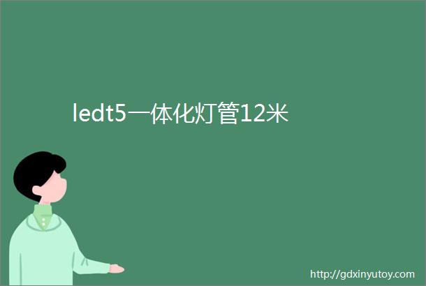 ledt5一体化灯管12米