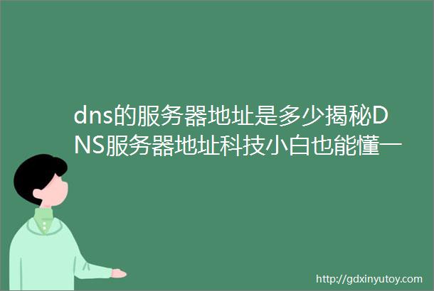 dns的服务器地址是多少揭秘DNS服务器地址科技小白也能懂一键查询网速飞跃你值得拥有