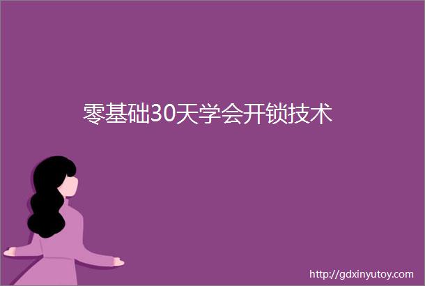 零基础30天学会开锁技术