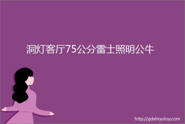 洞灯客厅75公分雷士照明公牛