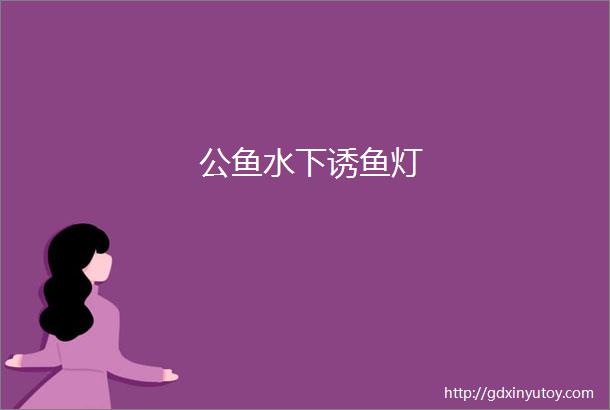 公鱼水下诱鱼灯