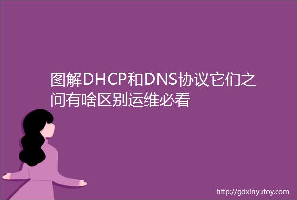 图解DHCP和DNS协议它们之间有啥区别运维必看