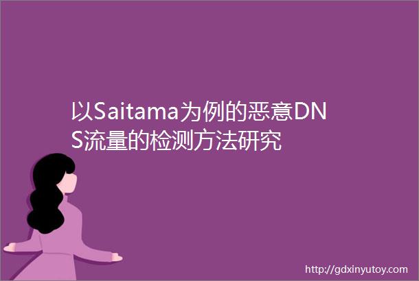 以Saitama为例的恶意DNS流量的检测方法研究