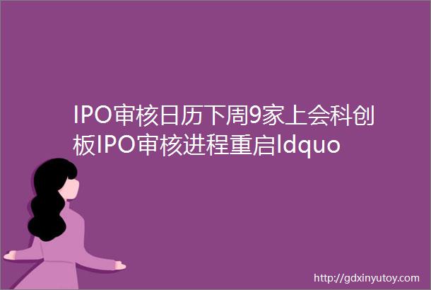 IPO审核日历下周9家上会科创板IPO审核进程重启ldquo人民币的搬运工rdquo沪主板IPO