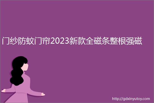 门纱防蚊门帘2023新款全磁条整根强磁