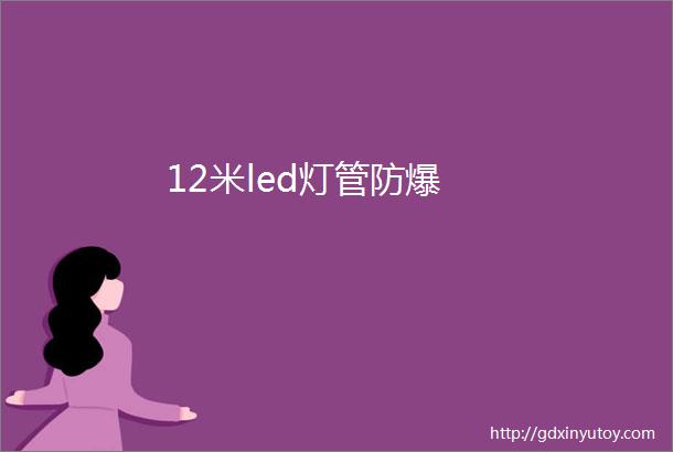 12米led灯管防爆