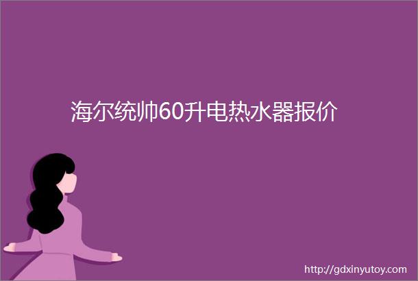 海尔统帅60升电热水器报价