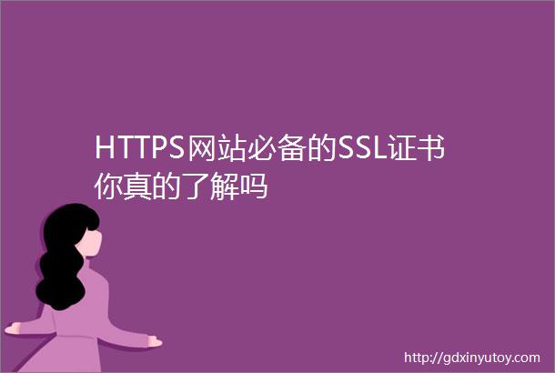 HTTPS网站必备的SSL证书你真的了解吗