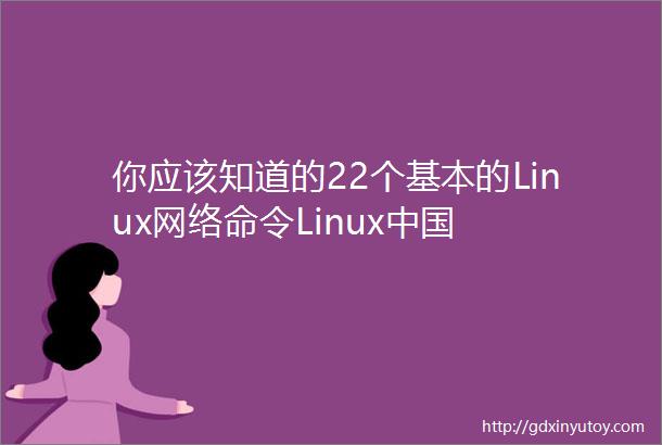 你应该知道的22个基本的Linux网络命令Linux中国