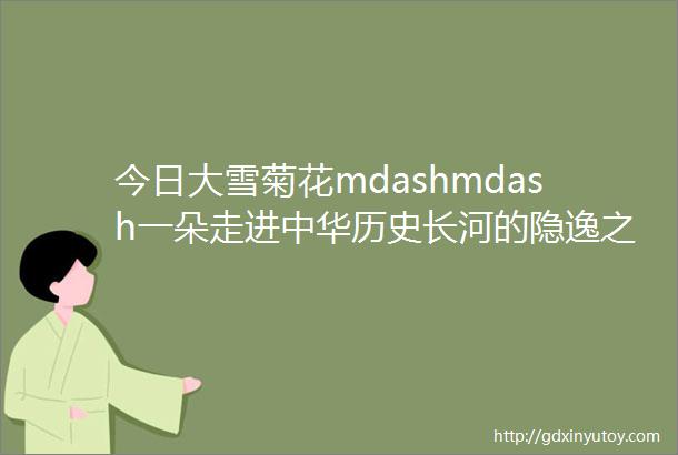 今日大雪菊花mdashmdash一朵走进中华历史长河的隐逸之花