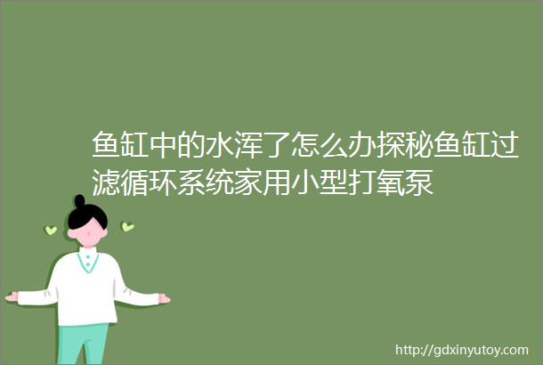 鱼缸中的水浑了怎么办探秘鱼缸过滤循环系统家用小型打氧泵