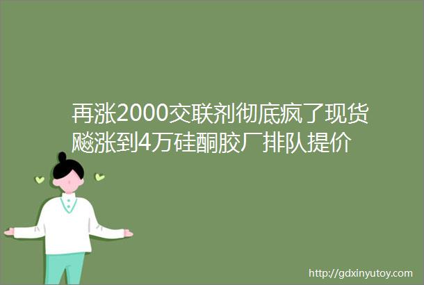 再涨2000交联剂彻底疯了现货飚涨到4万硅酮胶厂排队提价