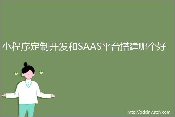 小程序定制开发和SAAS平台搭建哪个好