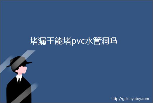 堵漏王能堵pvc水管洞吗