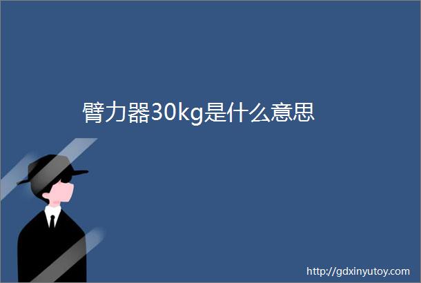 臂力器30kg是什么意思