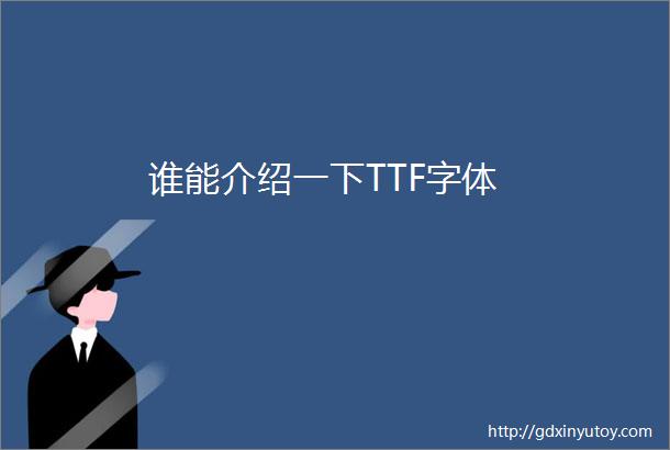 谁能介绍一下TTF字体