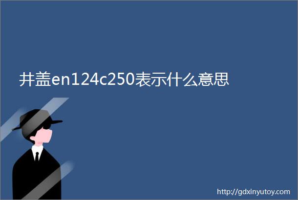 井盖en124c250表示什么意思