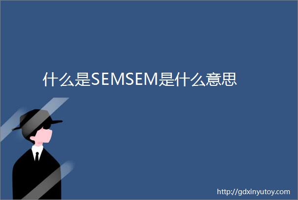 什么是SEMSEM是什么意思