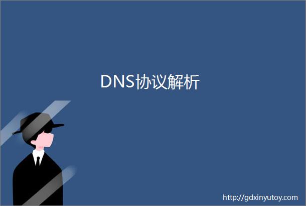 DNS协议解析
