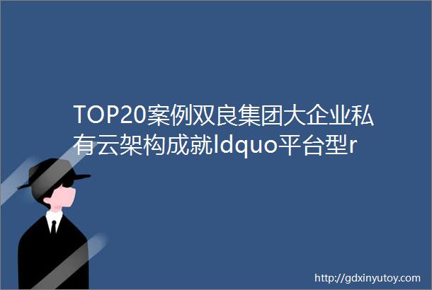TOP20案例双良集团大企业私有云架构成就ldquo平台型rdquo企业