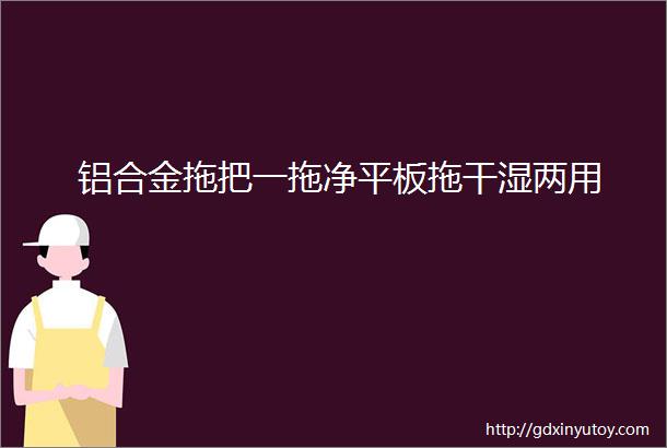 铝合金拖把一拖净平板拖干湿两用