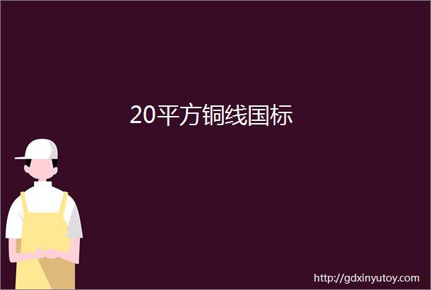 20平方铜线国标