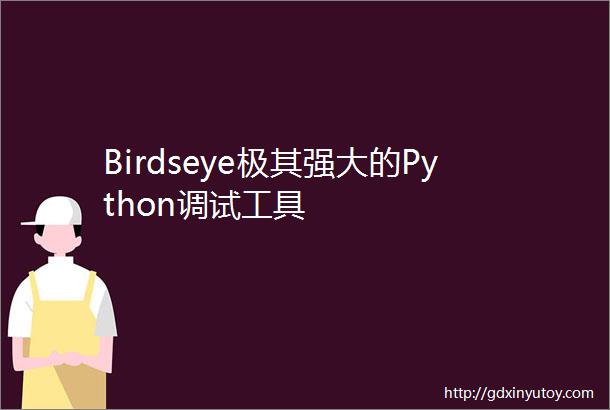Birdseye极其强大的Python调试工具