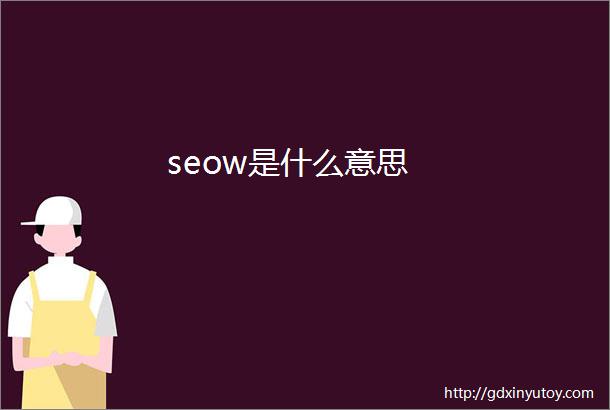 seow是什么意思