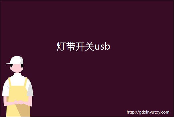 灯带开关usb